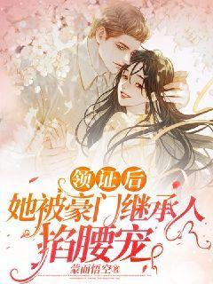 夫凭子贵,闪婚甜妻有点辣无删减完整版