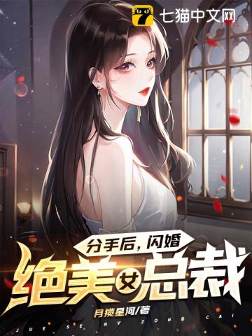 分手后闪婚绝美女总裁叶枫苏青柠