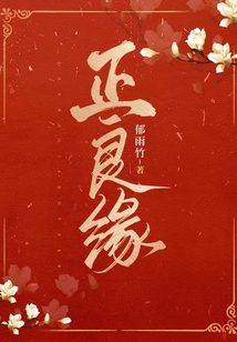 正良缘无删减完整版