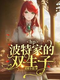 hp：波特家的双生子