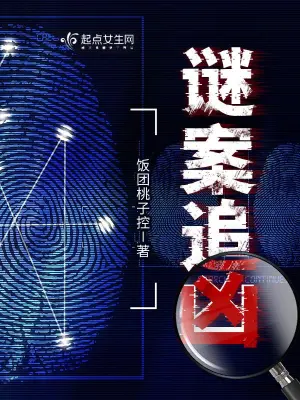 谜案追凶全文阅读完整版