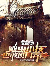 四合院：雕虫小技，也敢班门弄斧