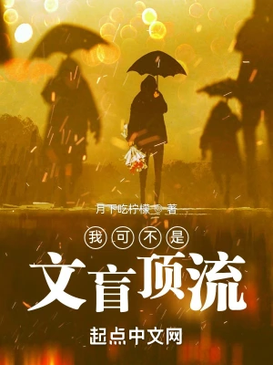 我可不是文盲顶流无弹窗免费看