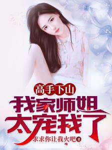 叶北辰九十九位师傅无删减完整版