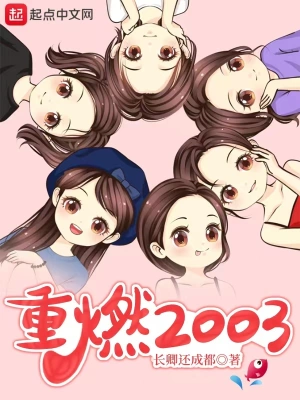 重燃2003小说